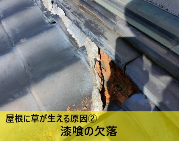 屋根に草が生える原因　漆喰の欠落